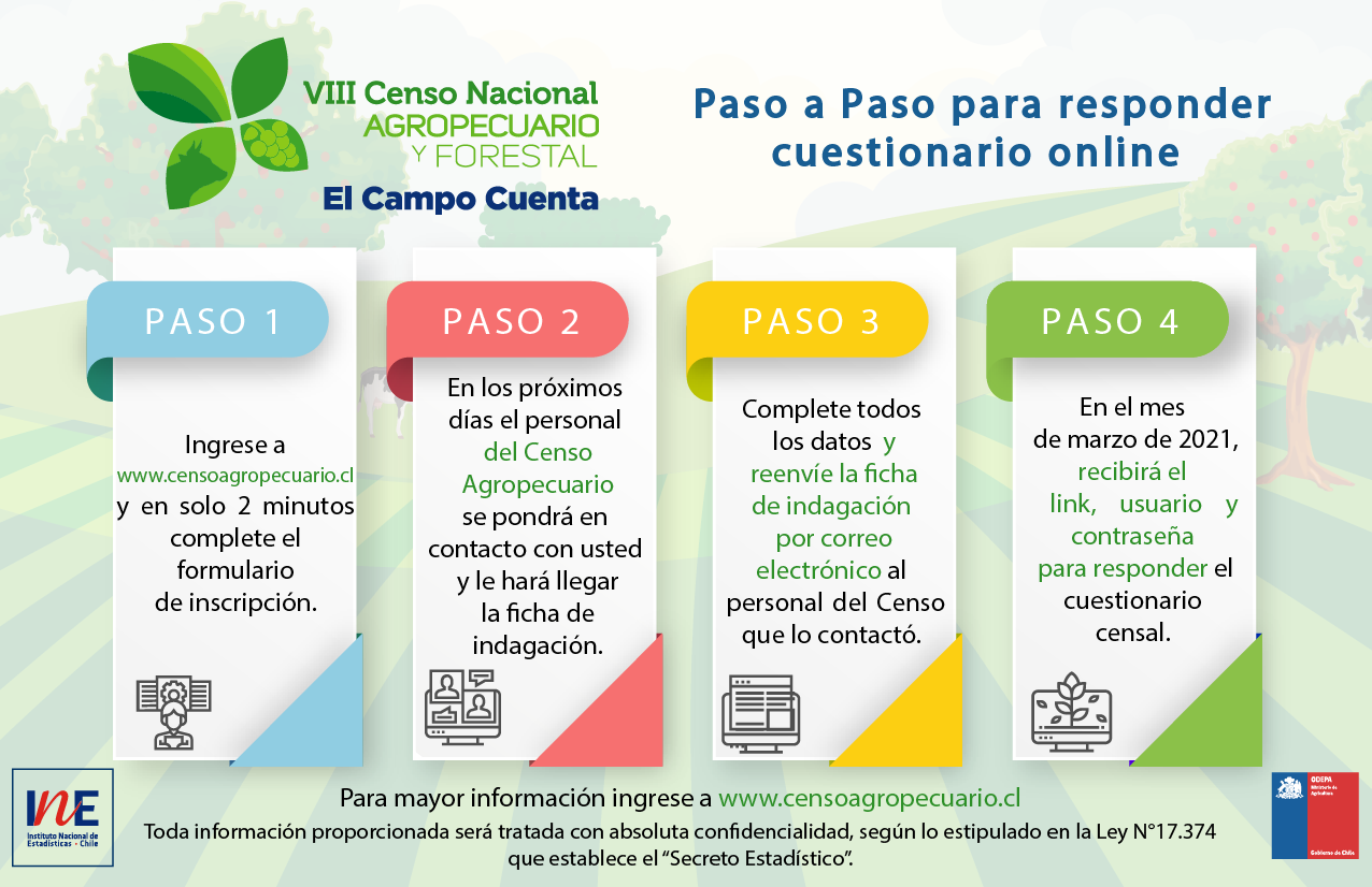 Infog Paso a paso_web_CAF (f)-01 (002)