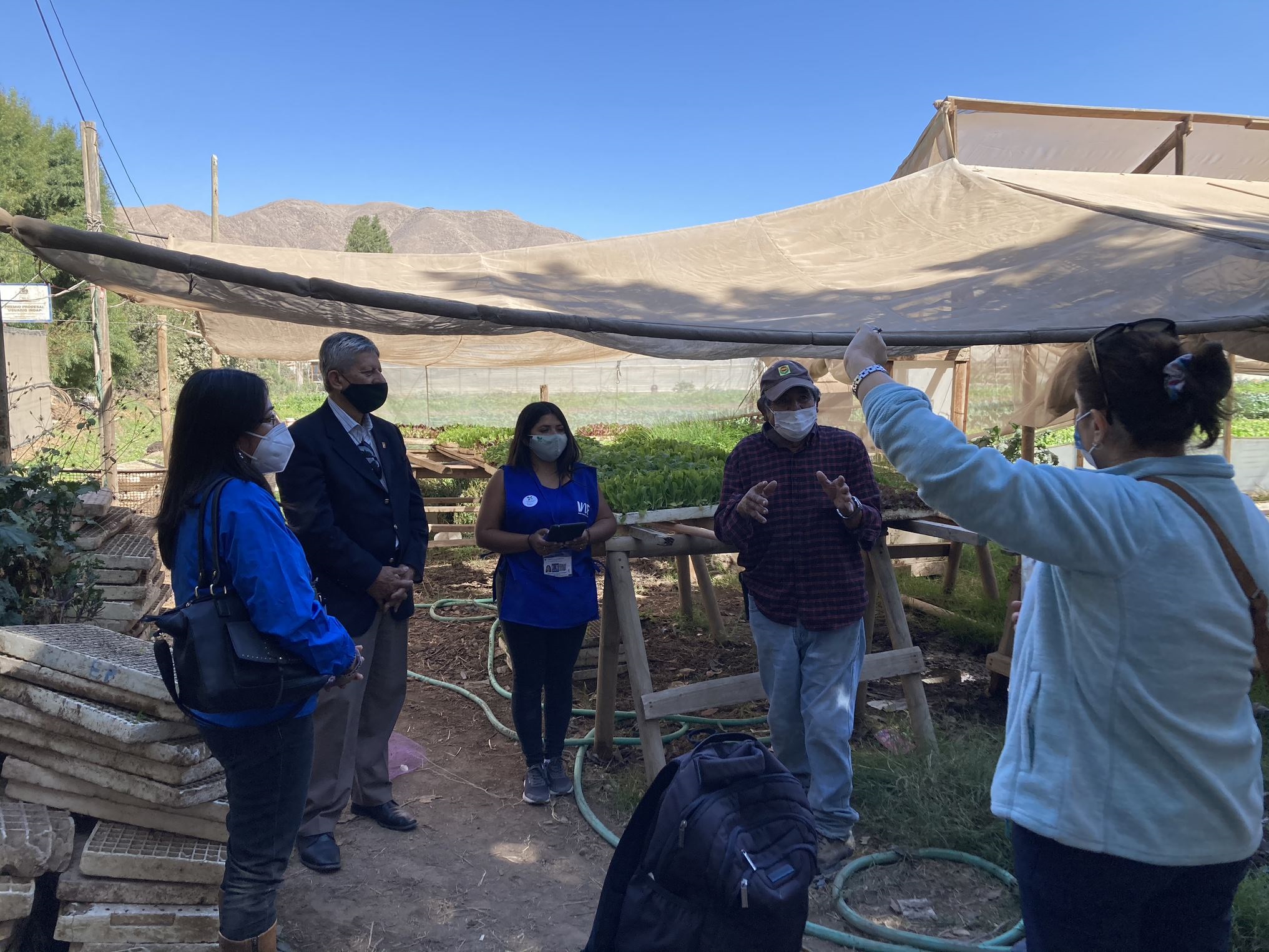 Atacama Reimpulso CAF en terreno